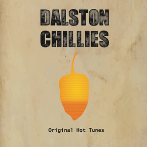Dalston Chillies Vol. 4 - The Trans-Atlantic EP l - Enjoy/Ricky Force /Farquaad - 4 track 12" vinyl - SPCY004