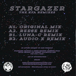 Entity Feat Amy - Stargazer Remixes  - Luna C etc -Kniteforce -  KFA105 -  12" Vinyl