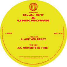 Load image into Gallery viewer, DJ Sy &amp; Unknown - Are You Ready - Hectic Records - KHECT08 - 12 &quot; Vinyl