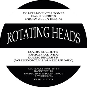 Rotating Heads - What Have You Done? / Dark Secrets - Wide Eyed Records ‎-12" Vinyl -  PUPIL1001
