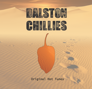 Dalston Chillies Vol. 5 - The Reminiscence EP - Sonars Ghost/DJ Trax & more - 4 track 12" vinyl - SPCY005