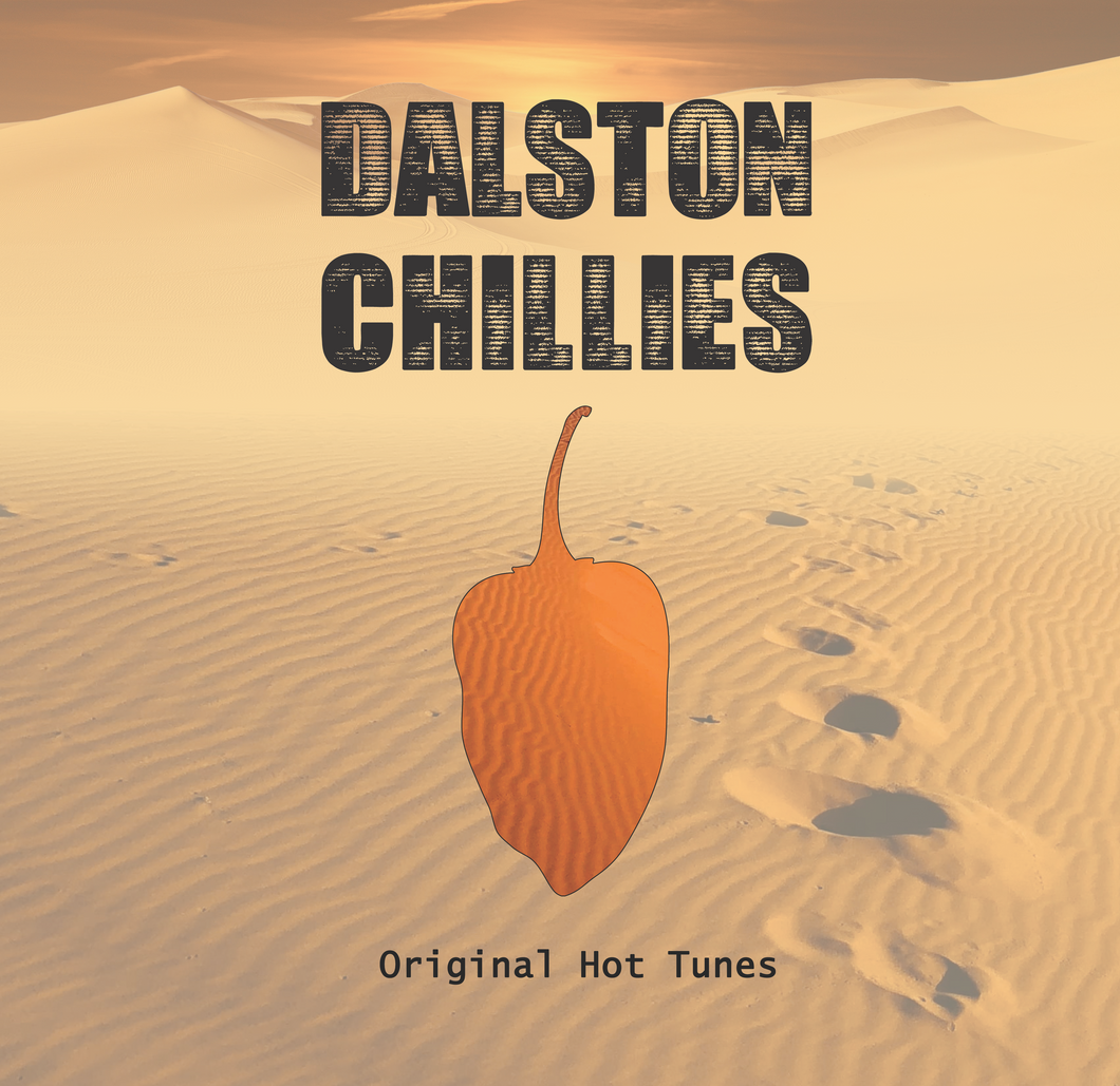 Dalston Chillies Vol. 5 - The Reminiscence EP - Sonars Ghost/DJ Trax & more - 4 track 12