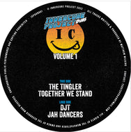 InnerCore Project Dubs Vol 1- ICPDub001 -12