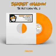 13Monkeys Records - Sekret Chadow - The Past Is Now Vol.2 - 4 track 12